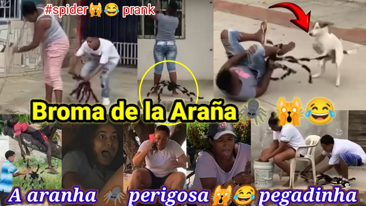 Broma de la Araña🕷️ /A aranha 🕷️ perigosa pegadinha /spider prank