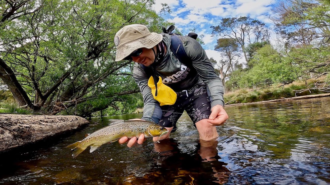 3 DAYS TO FIND TASMANIAN TROUT