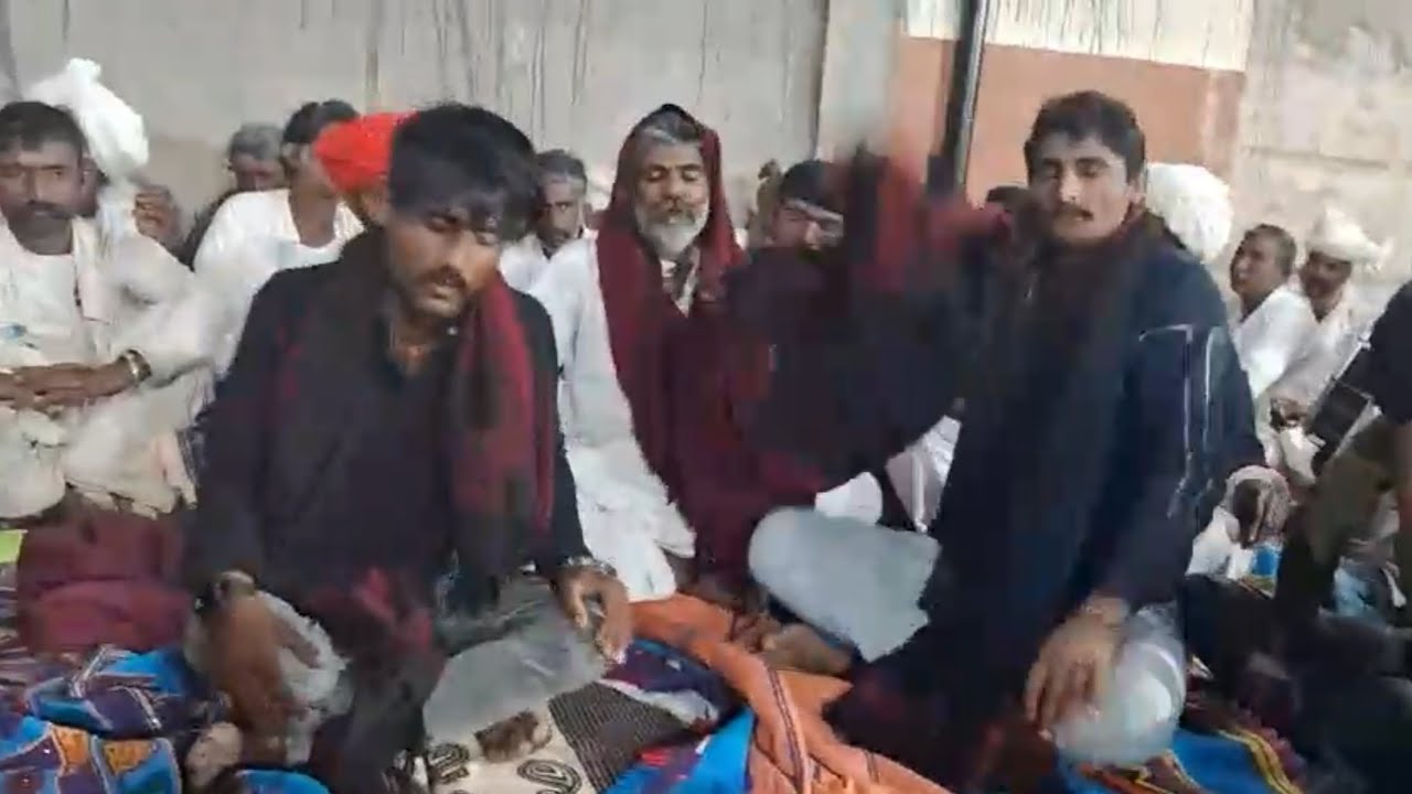 rabari dhor