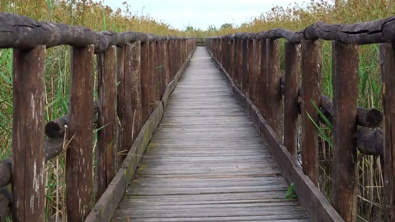 Lago di Massaciuccoli Oasi Lipu