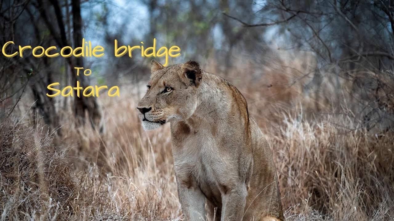 Kruger National Park: The road from Crocodile Bridge to Satara: EP02