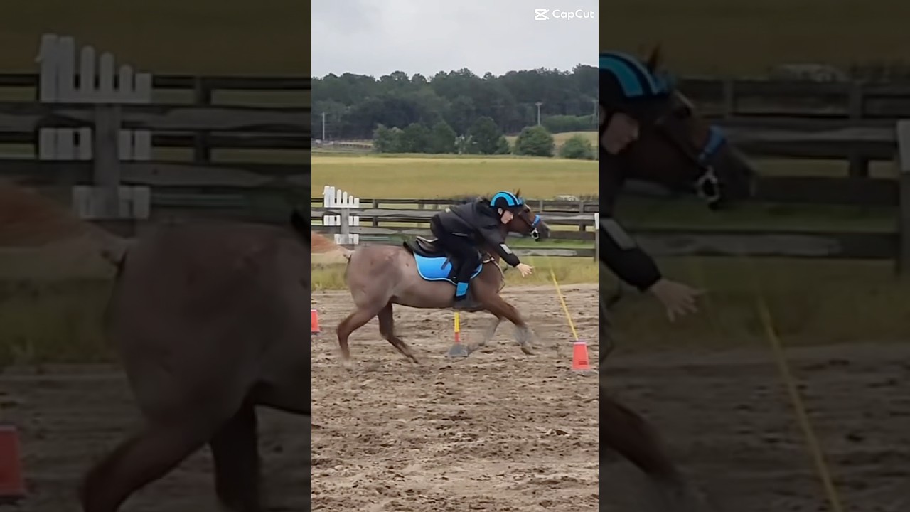 #horse #equinegame #horseenthusiast #mountedgames #equestrian #equestrianevent #horsefan #horselover
