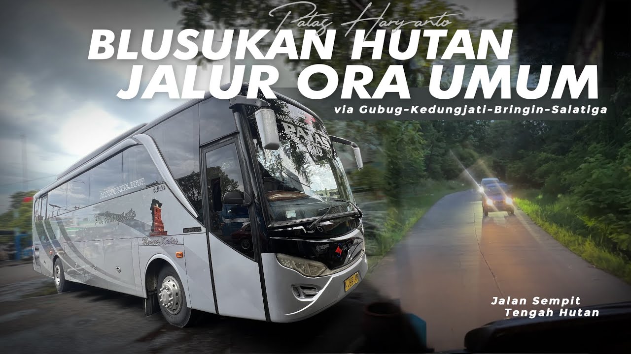 BLUSUKAN JALAN SEMPIT, JARANG DILEWATIN BIS ‼️ Trip Patas Haryanto HR 04 Pati-Jogja
