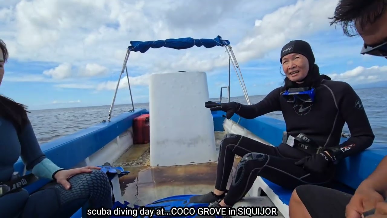 День подводного плавания с COCO GROVE... Минимум 2 погружения у стены Палитон и в заповеднике.