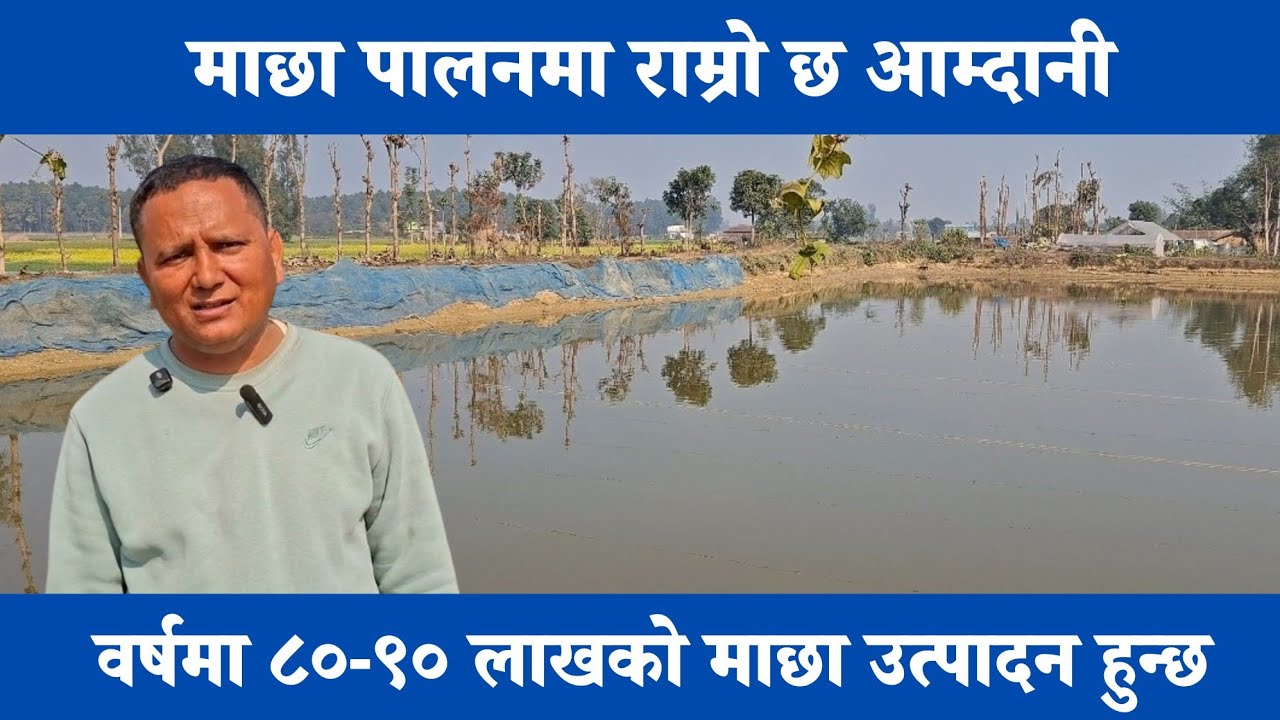 वर्षमा ८०-९० लाखको माछा उत्पादन हुन्छ 
