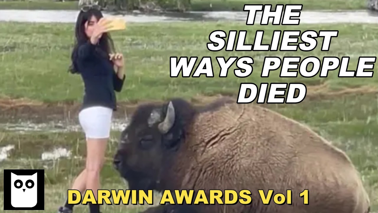 The Dumbest Ways People Have Died | Six Darwin Award Winners | Short Documentary
