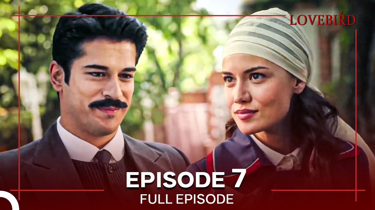 Lovebird Episode 7