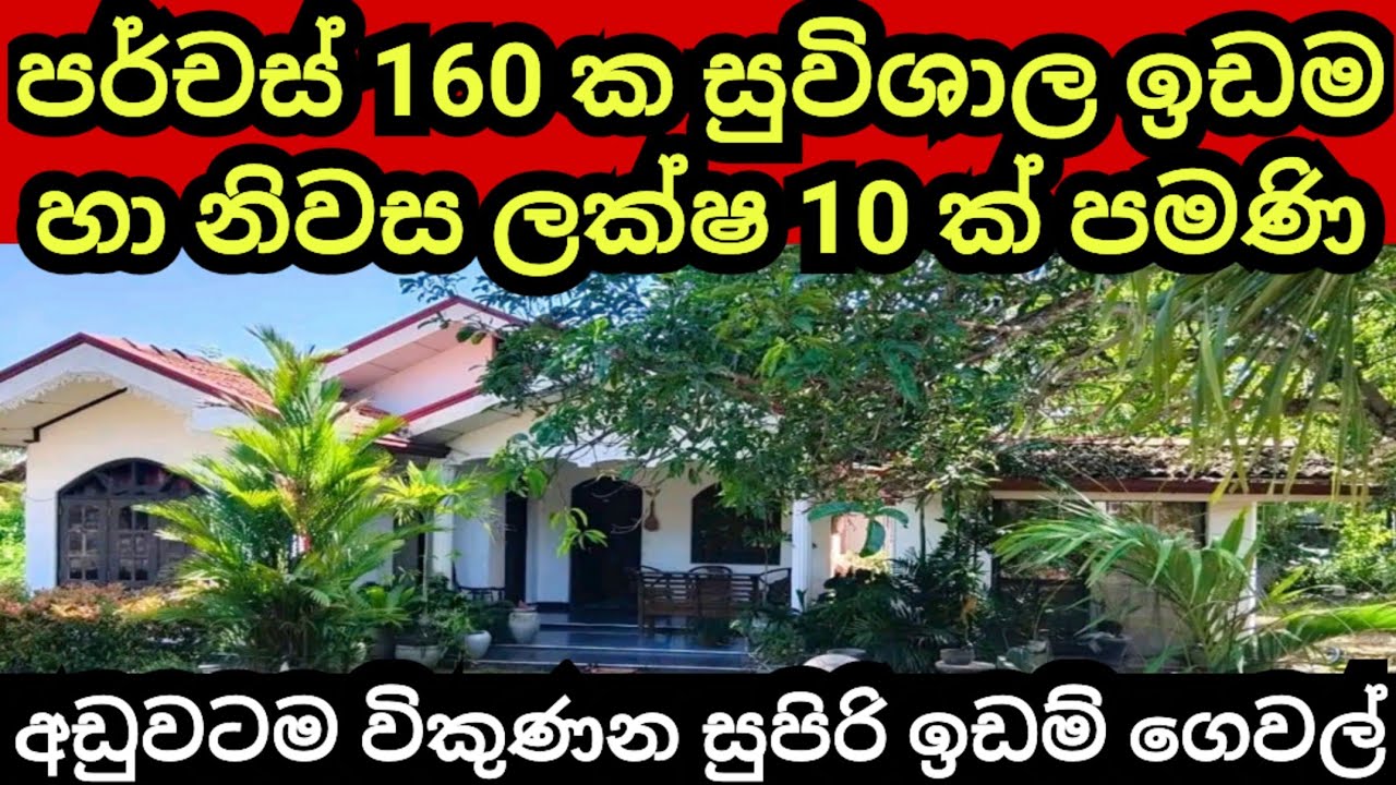 පර්චස් 160 ක ඉඩම හා නිවස රු ලක්ෂ 10 කට | House for sale | Land for sale | Aduwata idam | Agriculture