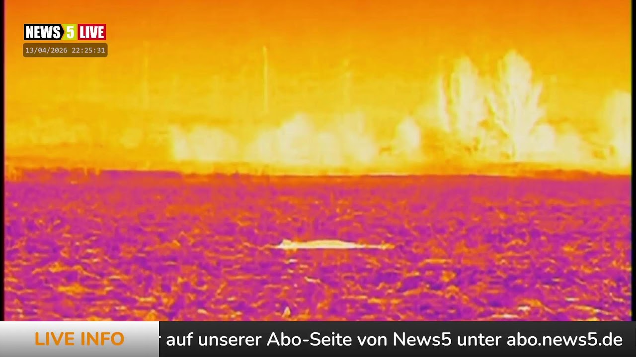 Aufzeichnung: Buckelwal 