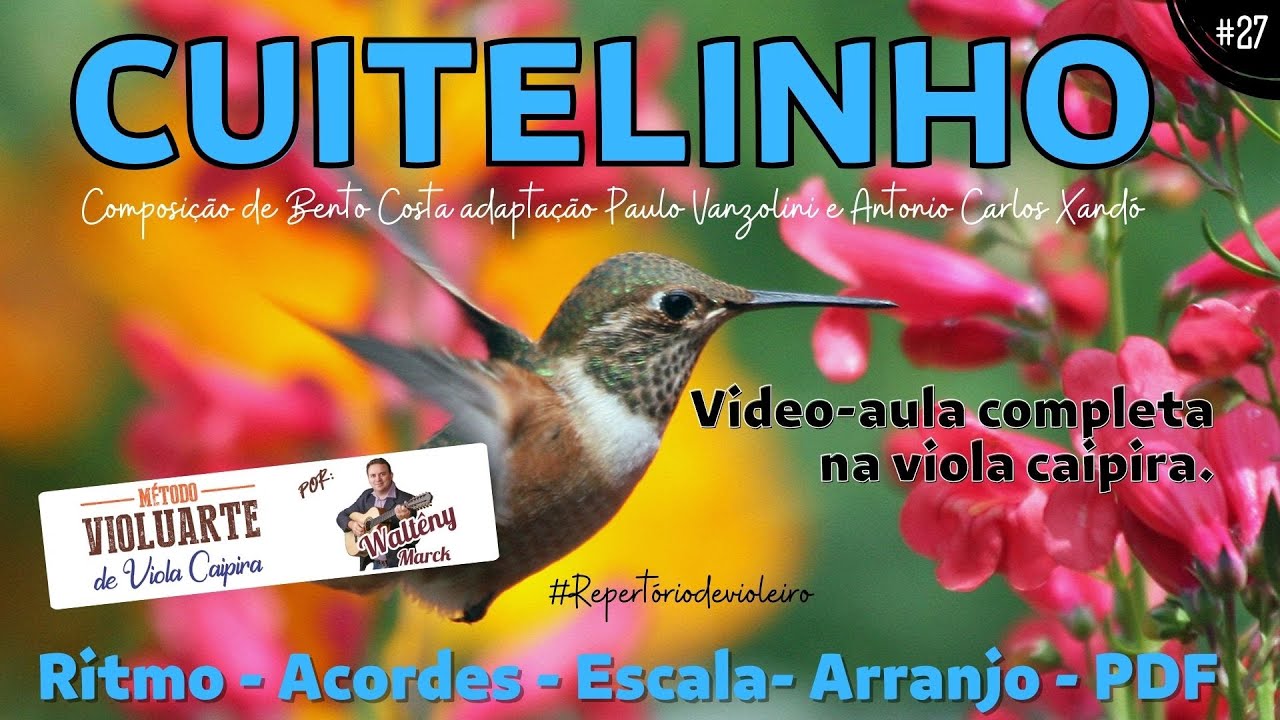 Cuitelinho - Video aula completa para Viola caipira - Ritmo, acordes, escala e arranjos. #27