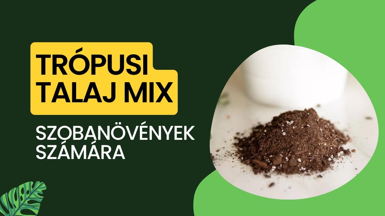 Trópusi szobanövény földkeverék, földmix készítése otthon, házilag | Let's Leaf