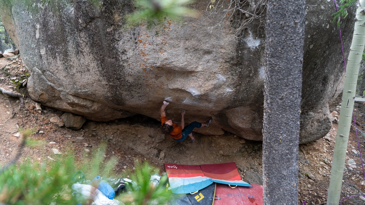 The Grey v14