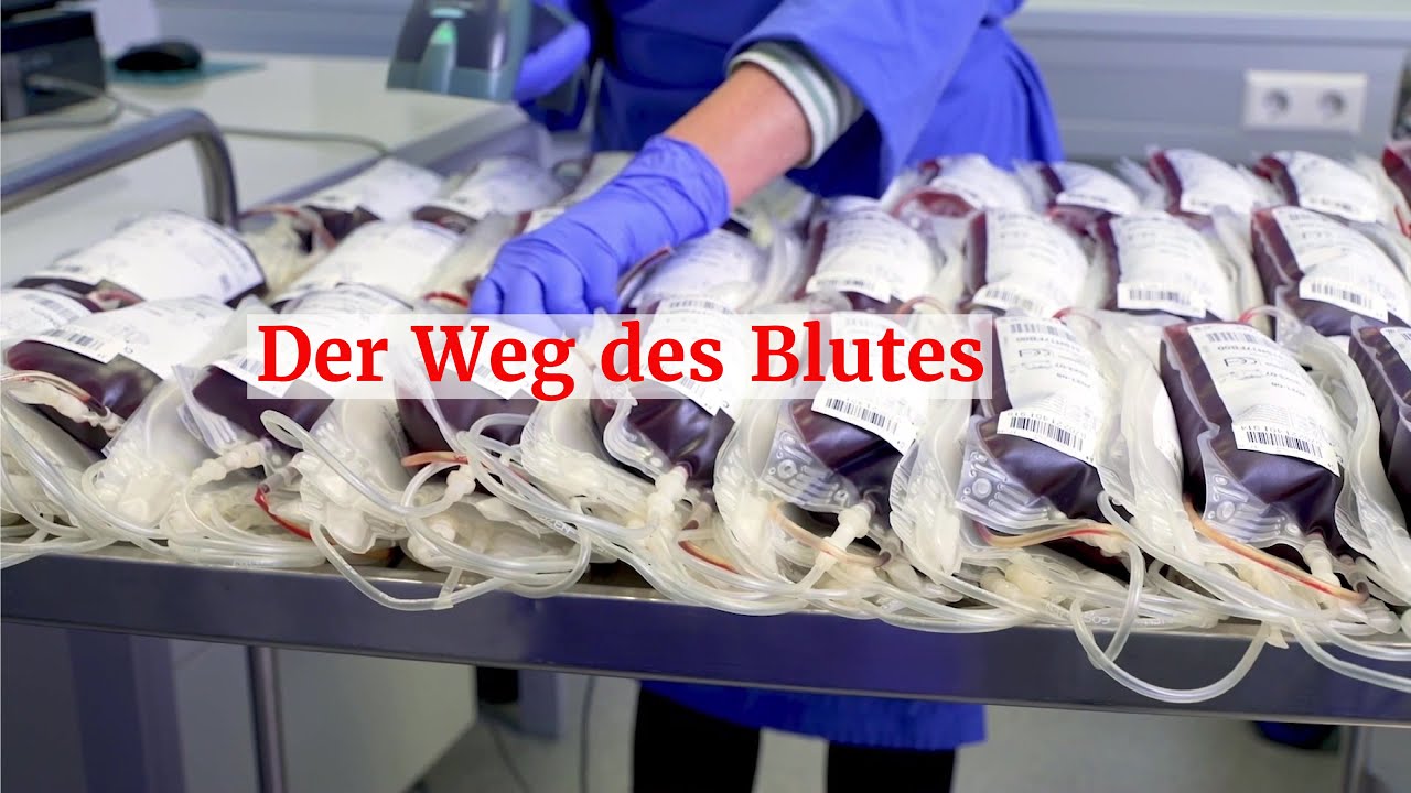 Der Weg des Blutes