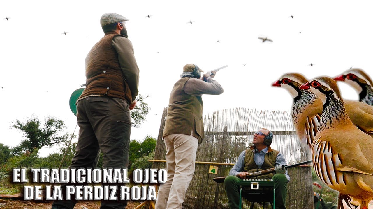 El tradicional ojeo de la perdiz roja