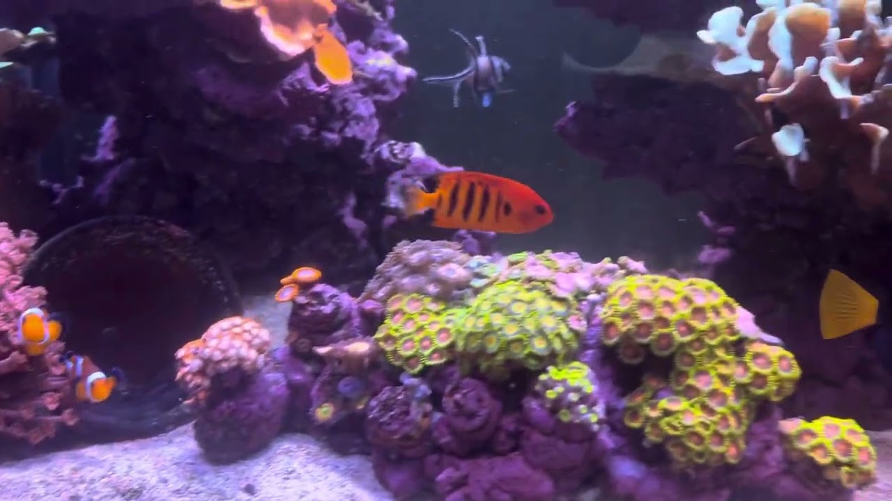 Waterbox setembre 23