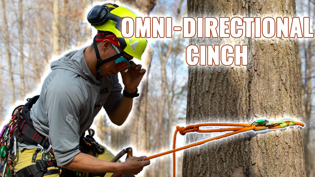 Tree Work Essentials: Spar Technique