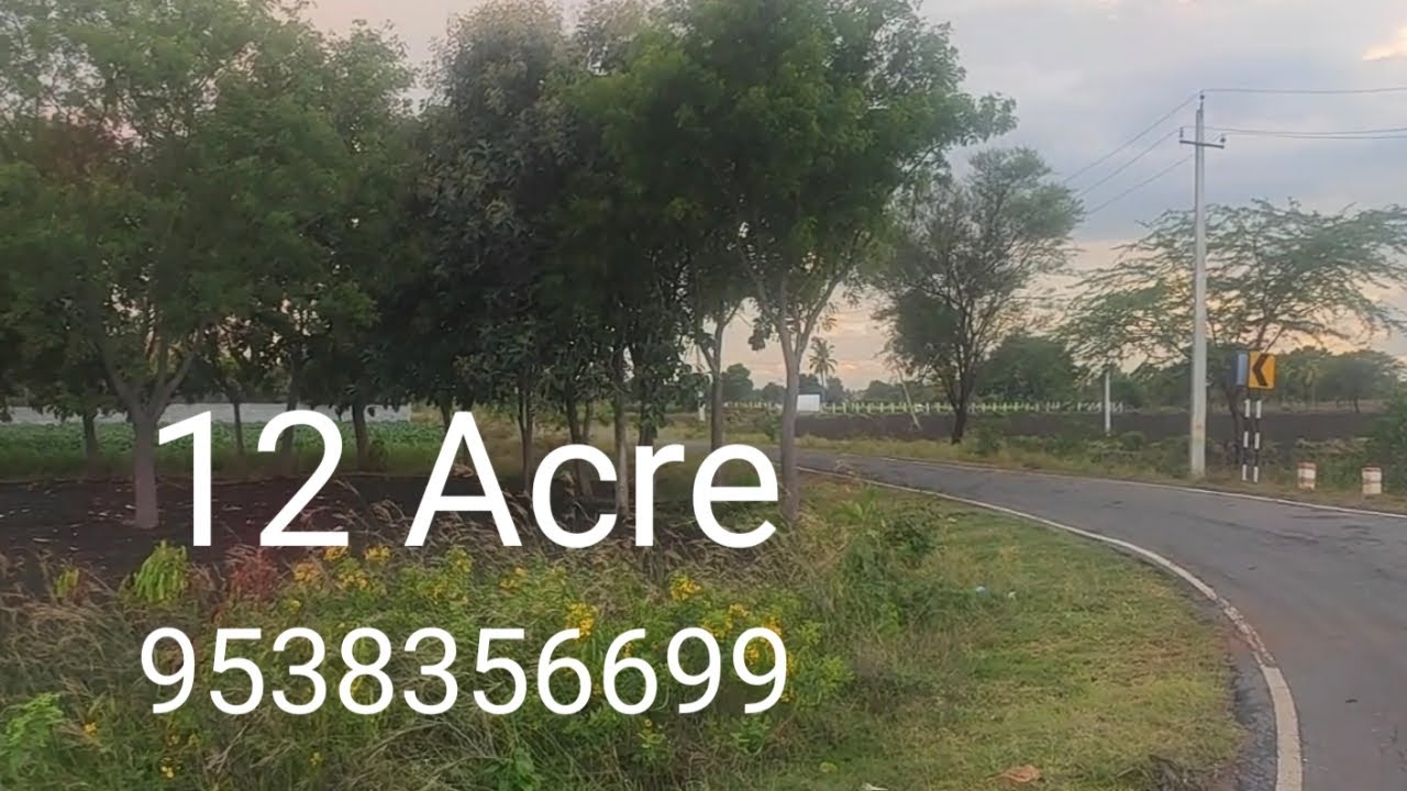 M) 12 ACRE | THE CALM BEAUTY OF TRANQUILITY  NATURE | TAR ROAD | CALL@9538356699