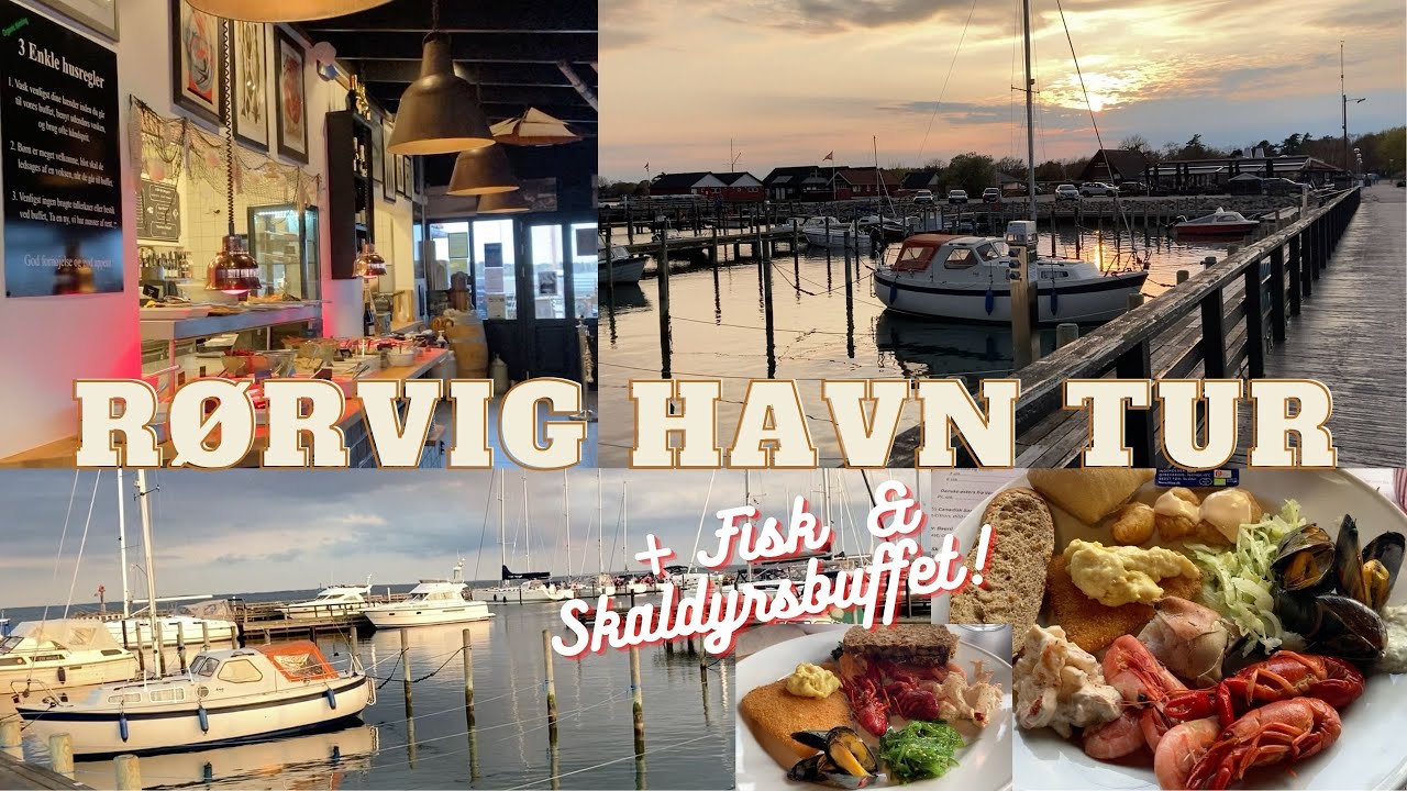 Rørvig Havn Tur + Rørvig Fisk & Røgeri's Fisk - & Skaldyrsbuffet | Filipina in Denmark