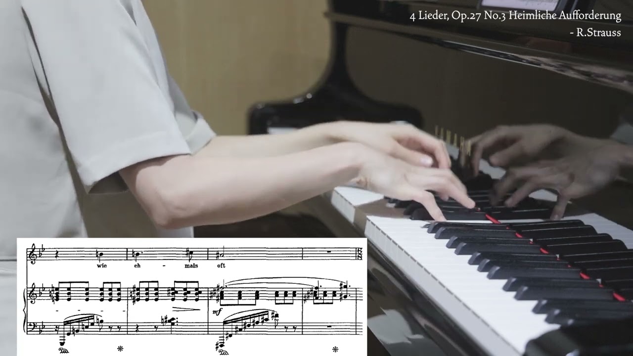 Heimliche Aufforderung (B♭ Major) Op. 27 no. 3 - R. Strauss / piano accompaniment /독일가곡/Lied/karaoke