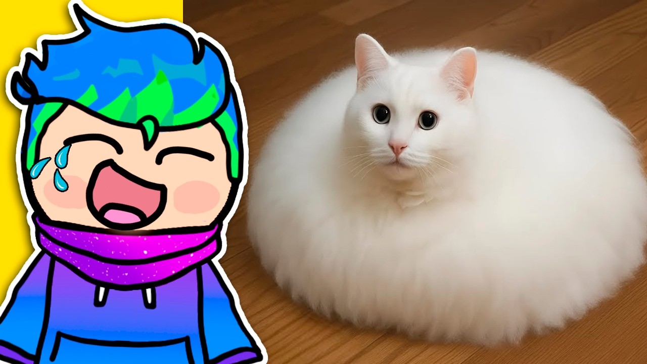SI TE RIES PIERDES NIVEL DIOS 🤣 VIDEOS GRACIOSOS DE GATITOS Y PERRITOS / Carlos Infinito REACCIONA