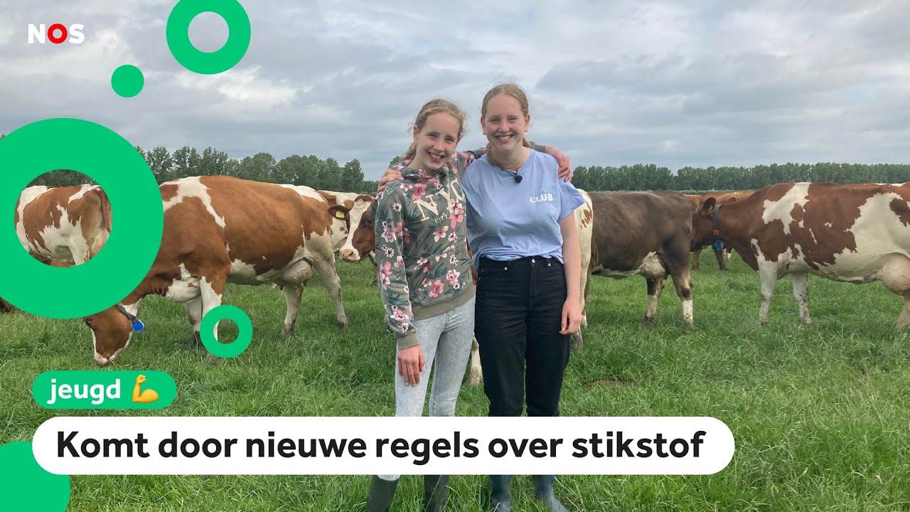 Koeien van Daniëlle en Evelien moeten weg door nieuwe regels