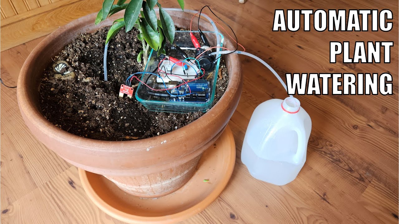 Автоматический полив растений с помощью Arduino | Научный проект