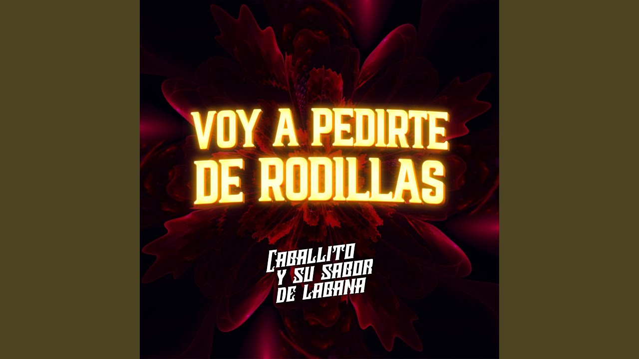 Voy a Pedirte de Rodillas