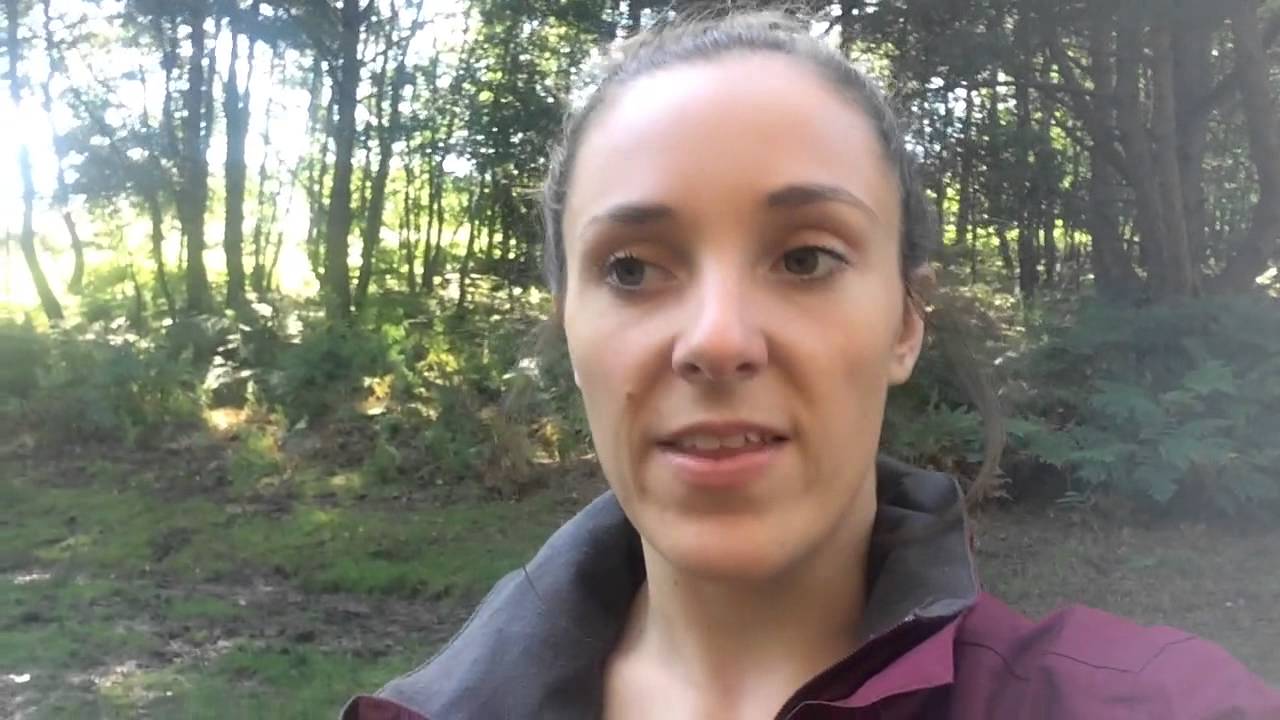 A little insight into life on the Ashdown Forest