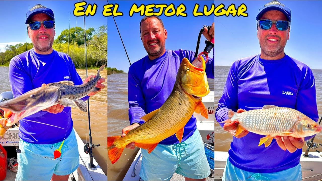 TV Nº718 05-12-2025 Pescando en el mejor lugar