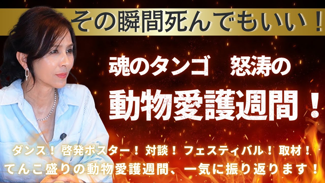 【怒涛の動物愛護週間！】魂のタンゴ/啓発ポスター/対談/フェスティバル/取材　一気に見せます！