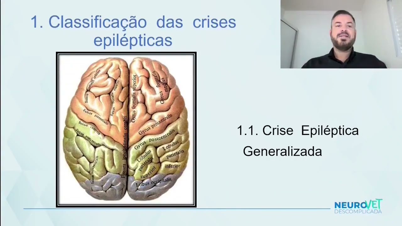 1  Definição e classificação das crises epilépticas