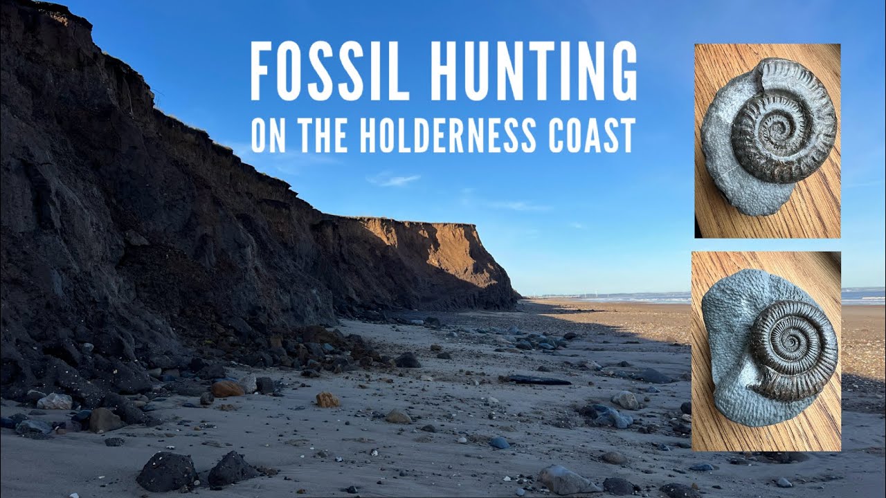 Fossil hunting on the Holderness Coast. Some great ammonite finds & other fossils! Fossil prep too!