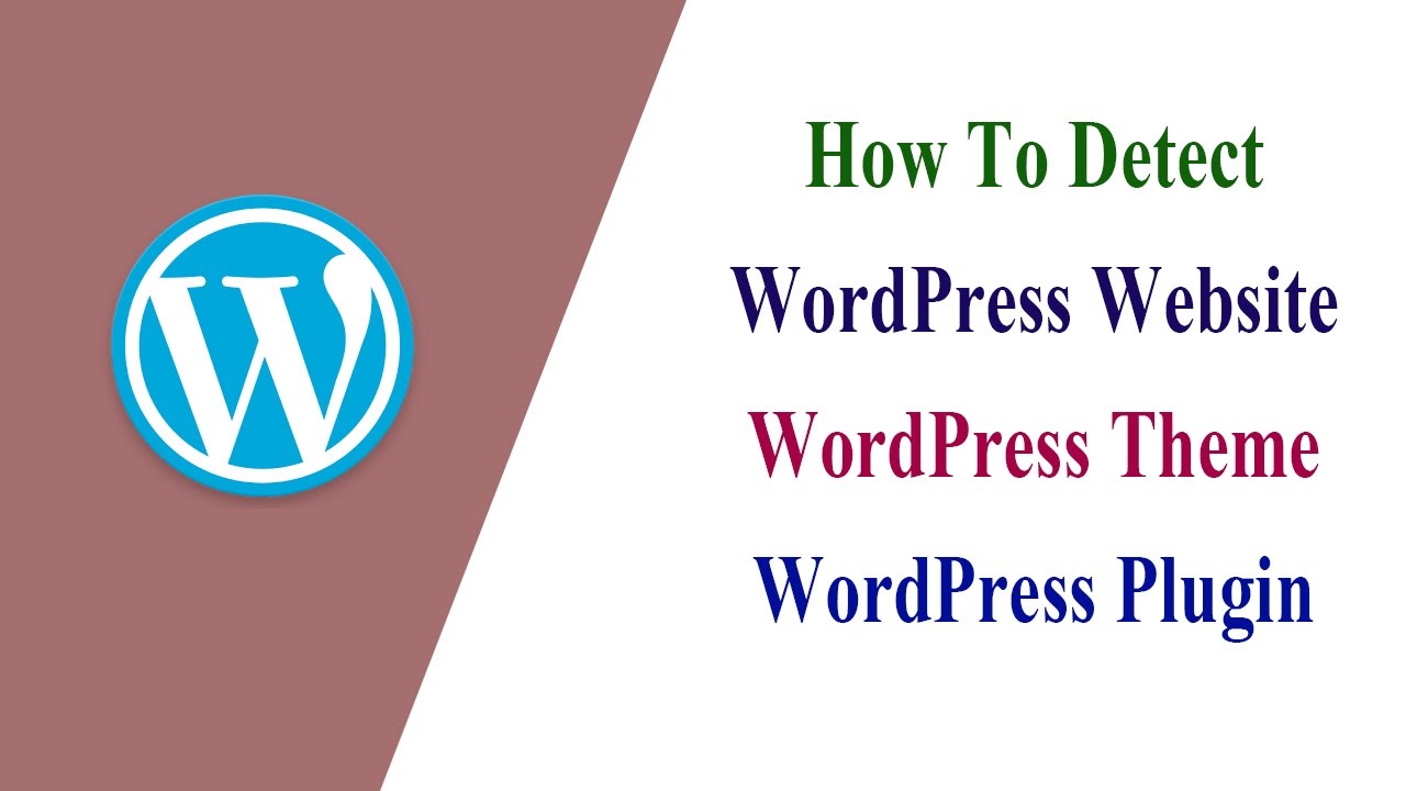 How To Detect WordPress Website ✪ Wordpress Theme ✪ WordPress Plugin