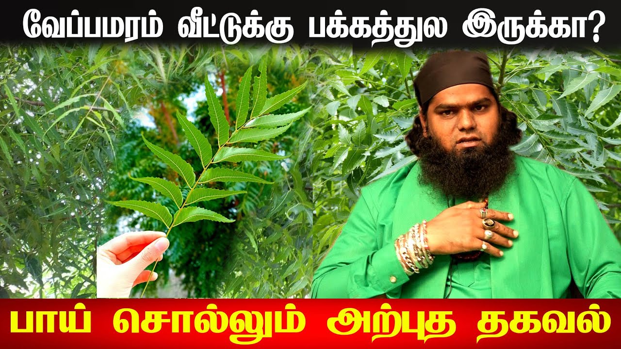 வீட்டுவாசலில் வேப்பமரம் வளர வளர கடனும் வளருமாம்..! | veppa maram vaikalama | Vastu Shastra For Home