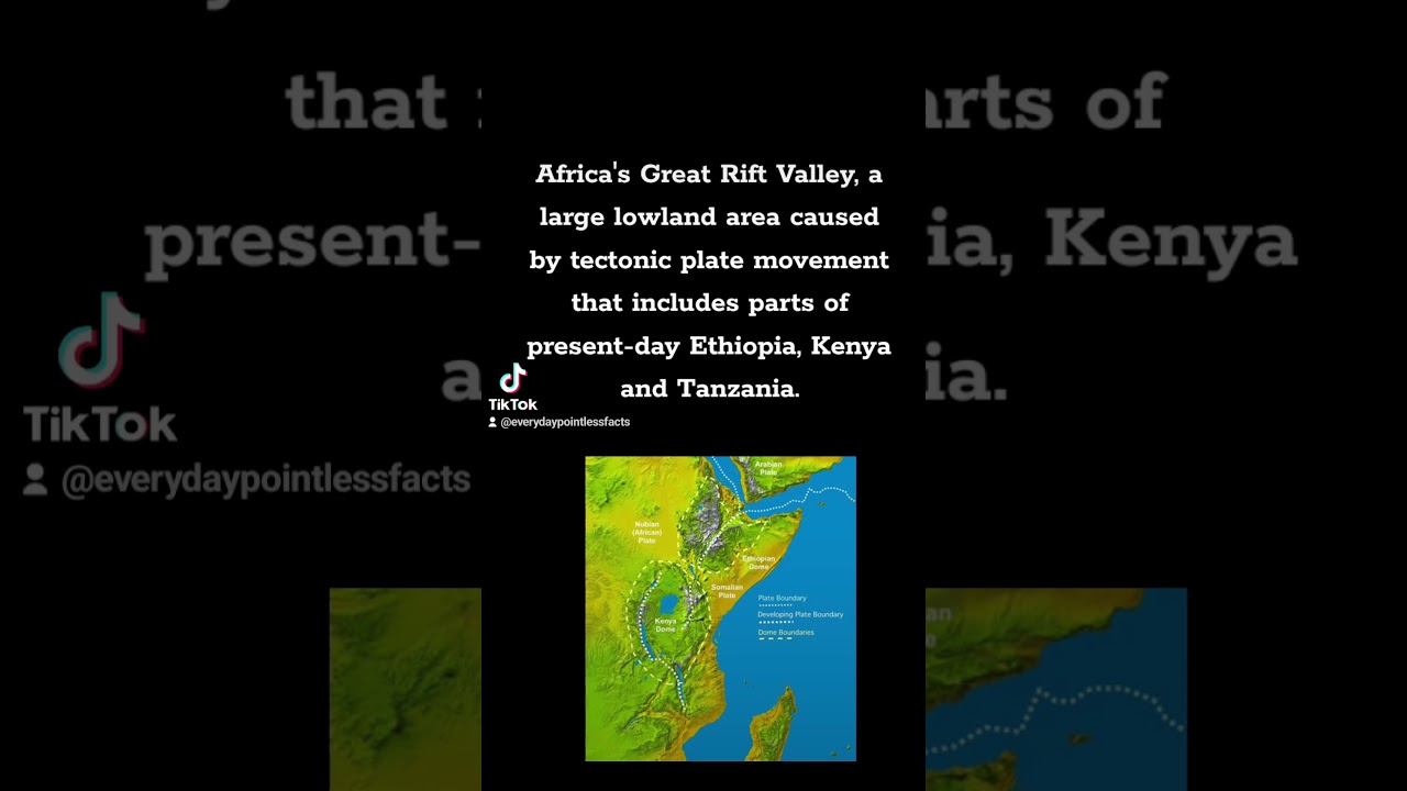 What is the native habitat of humans? #fact #facts #funfacts #habitat #human #humans #africa