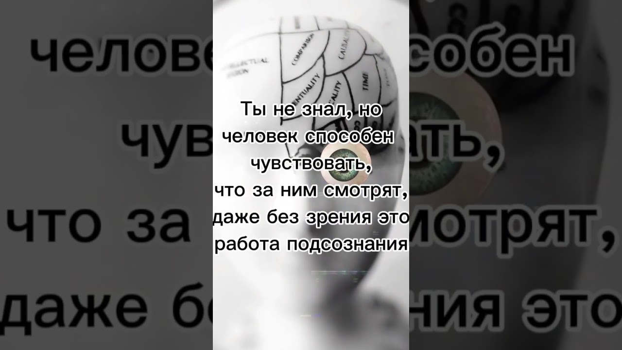 А вы знали это?!