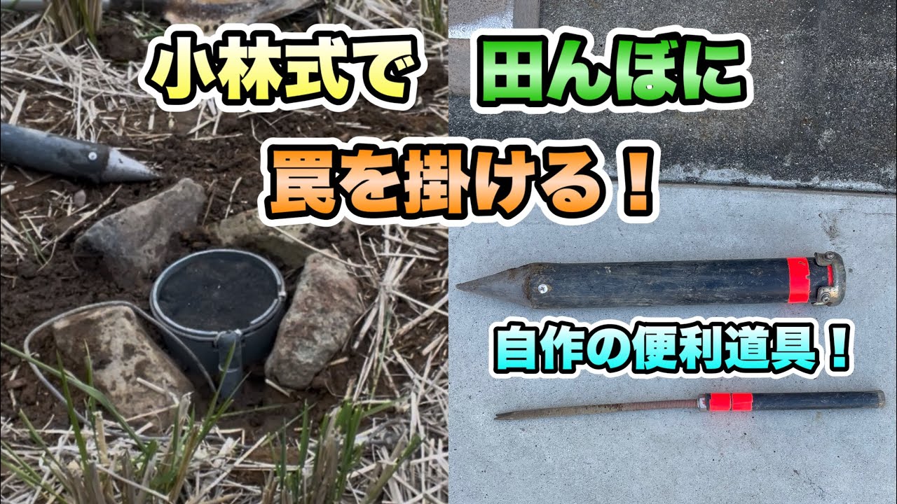 【狩猟罠設置】田んぼに単管パイプ&小林式で罠掛ける！自作道具で罠設置！