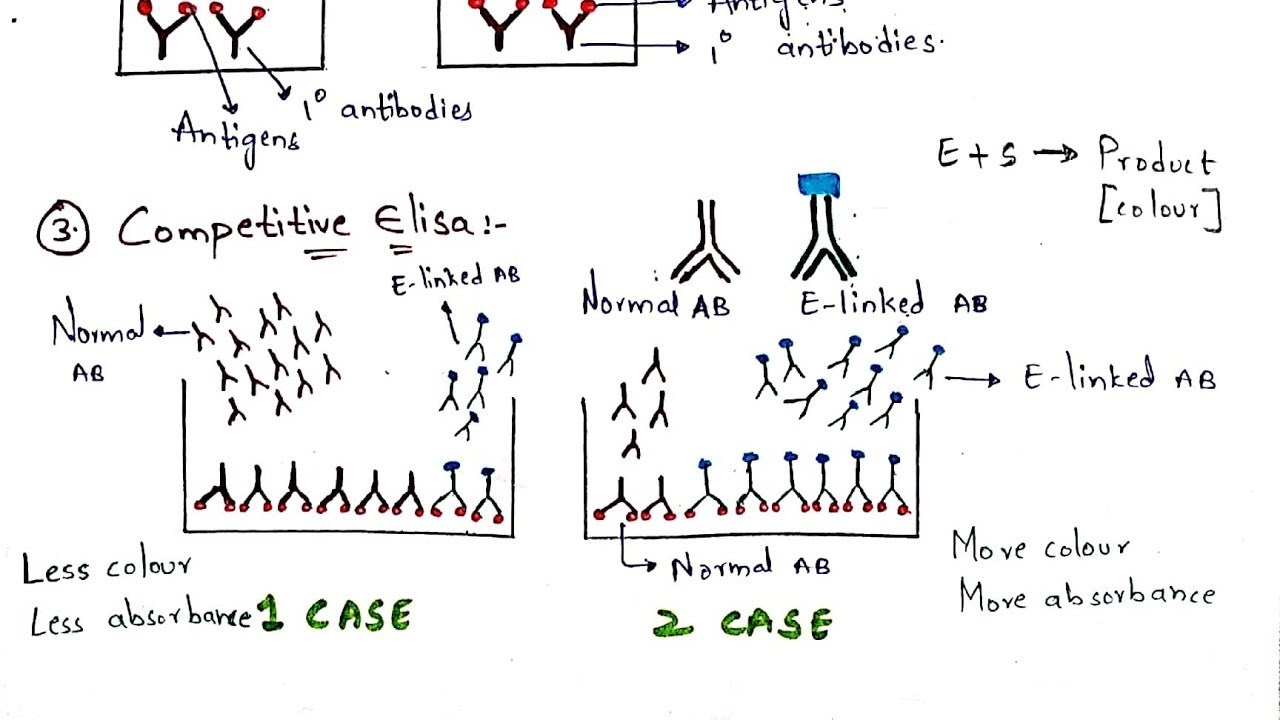 ELISA test | Principle | Types of ELISA test | By Phanindra gupta | Bio science