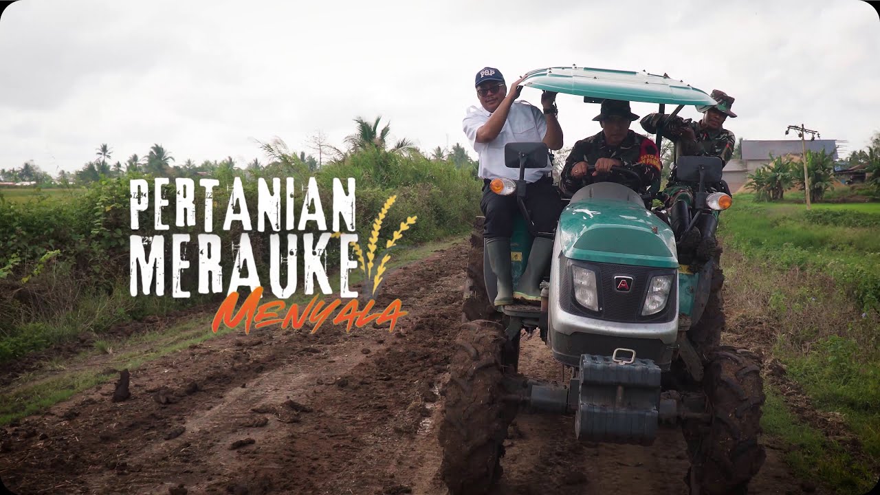 Melihat Langsung Dampak Besar Program Pertanian di Merauke! #PertanianMeraukeMenyala