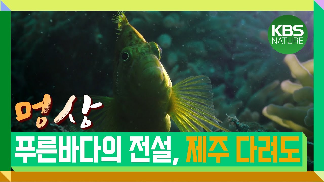 [멍상]#7 푸른 바다의 전설, 제주 해녀와 다려도| UHD유네스코세계유산 자연의 타임캡슐 8부작 