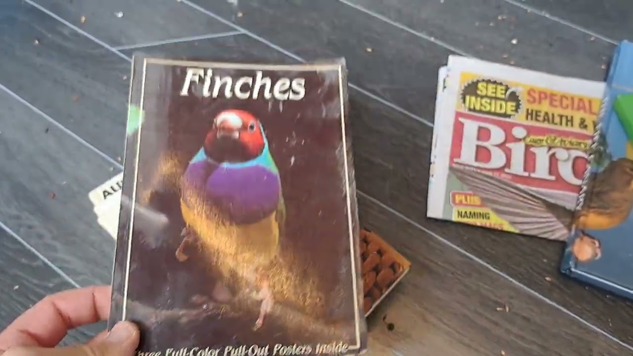 Favourite bird books and  birdroom update.