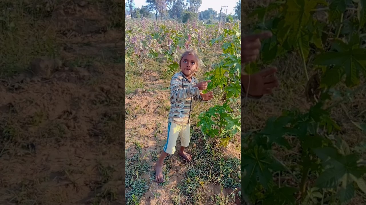 Bako no symbol 🤔😍 