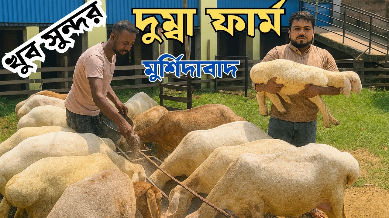মুর্শিদাবাদ জেলার খুব সুন্দর দুম্বা ফার্ম | Dumba Farm In West Bengal