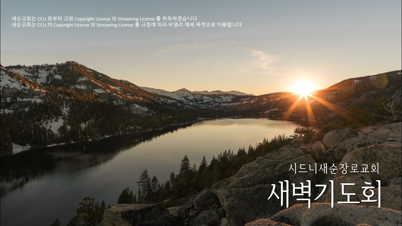 2026년 3월 18일(수) 새벽기도회 (요한복음 13:31-38 | 김규태 목사)