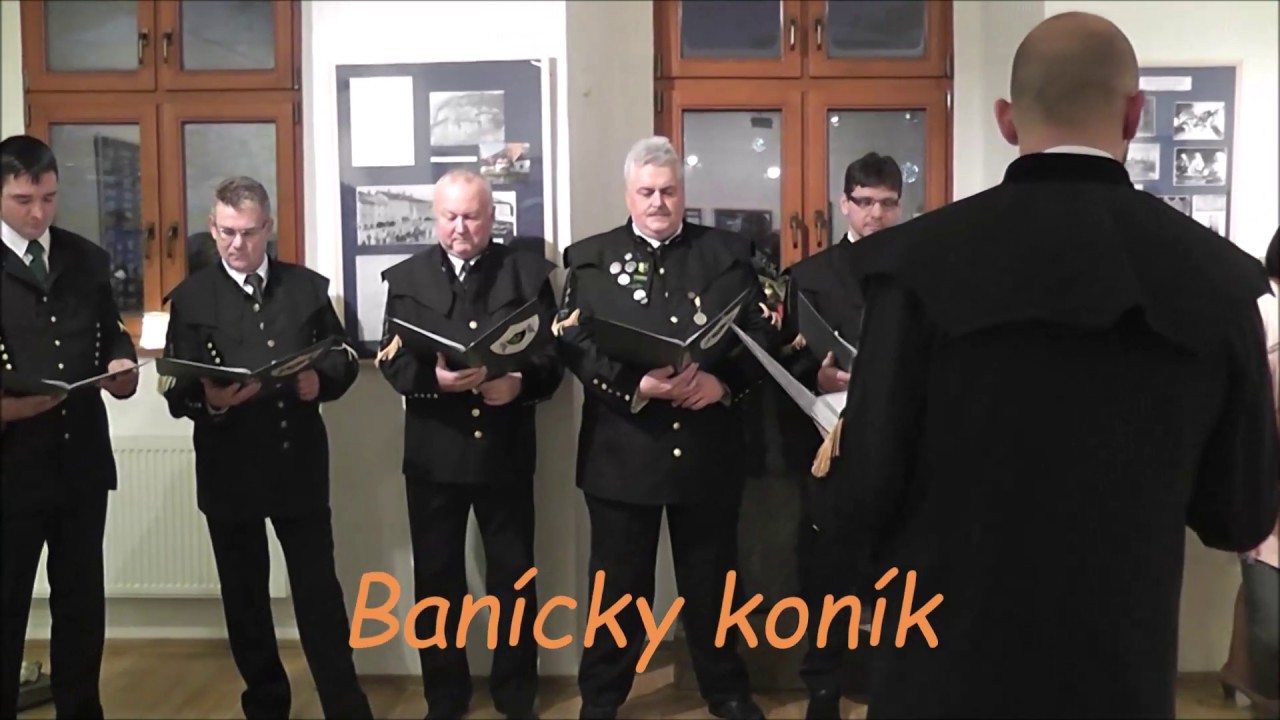 banícky koník