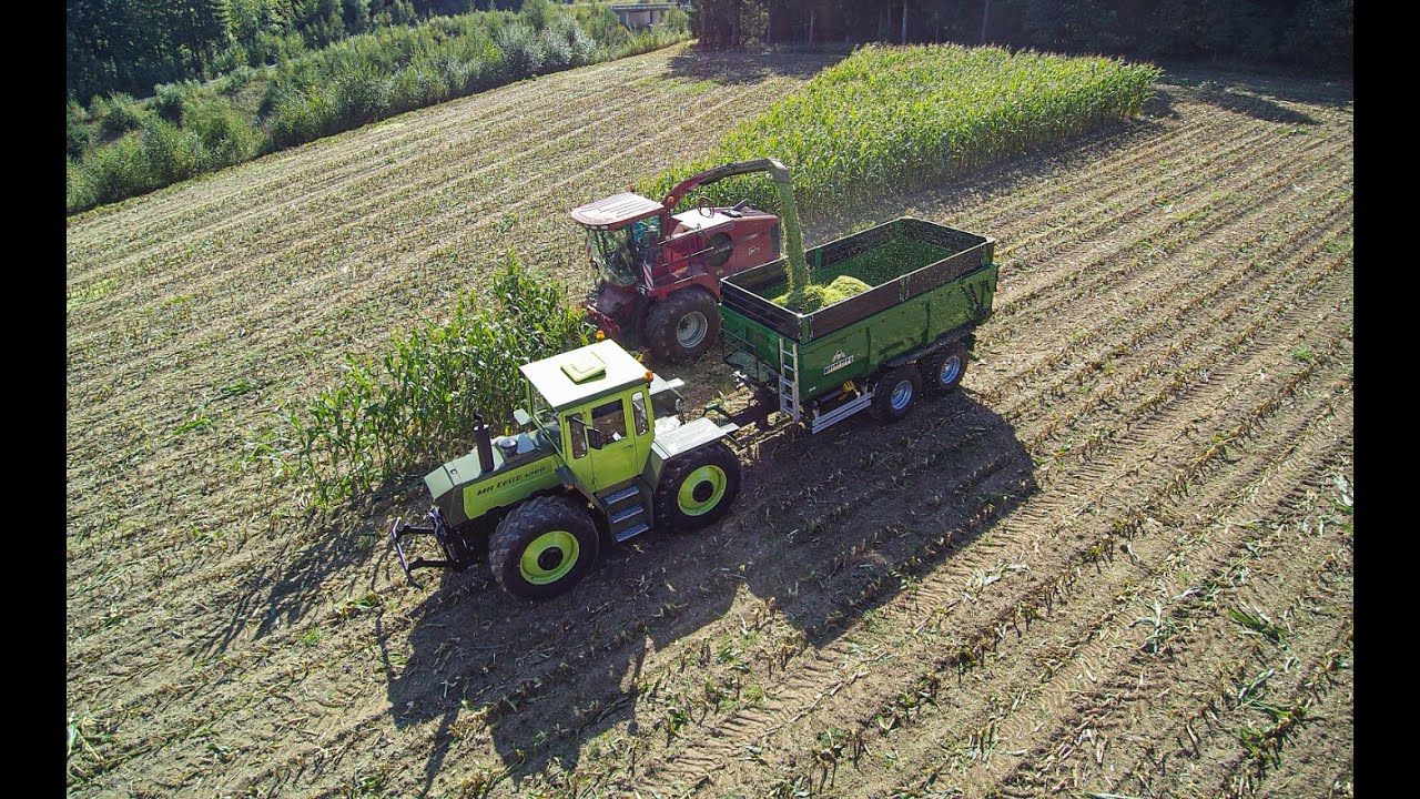 MB Trac 1300 | Hummel Muldenkipper | Hummel Kipper | Maissilage