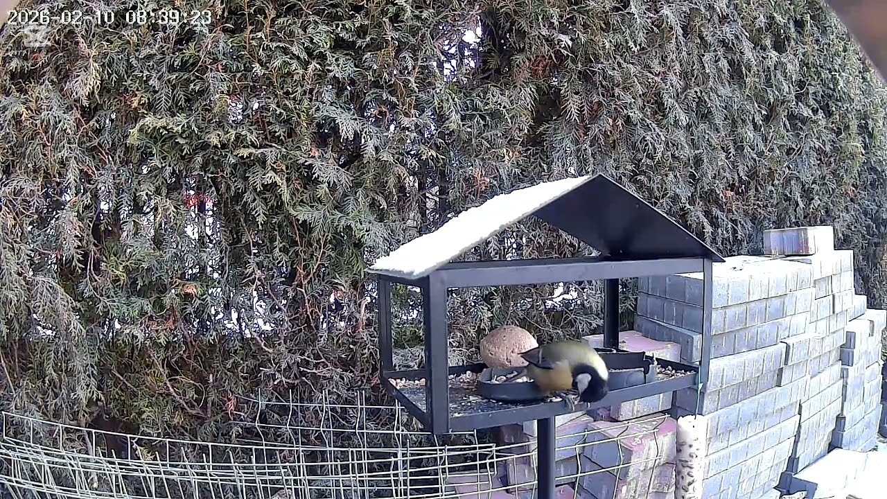 Podsumowanie dnia 10.02.2026