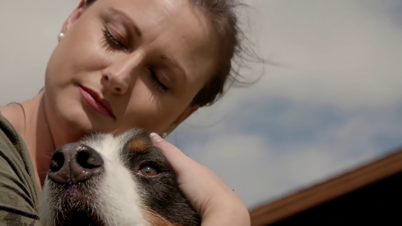 Behind the Scenes of a Dallas Dog Portrait Session with Haute Dog Pet Photography