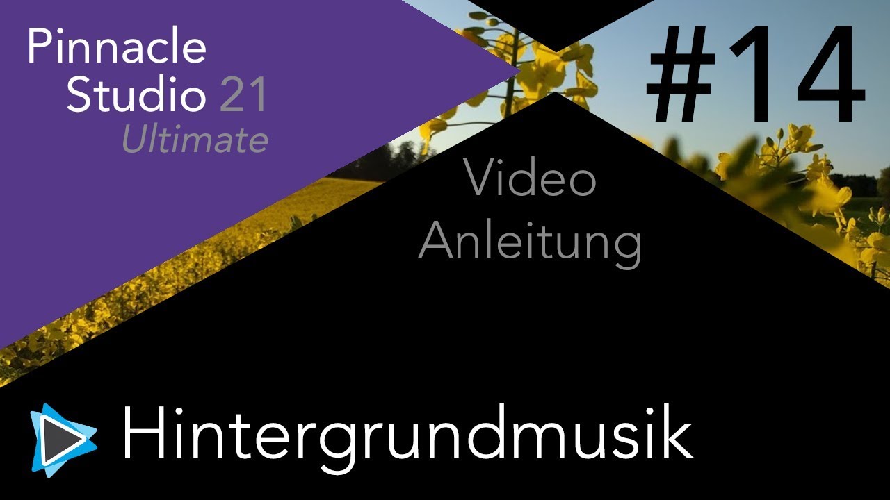 Hintergrundmusik und Filmmusik  in Pinnacle Studio 21 Video Tutorial Deutsch #14