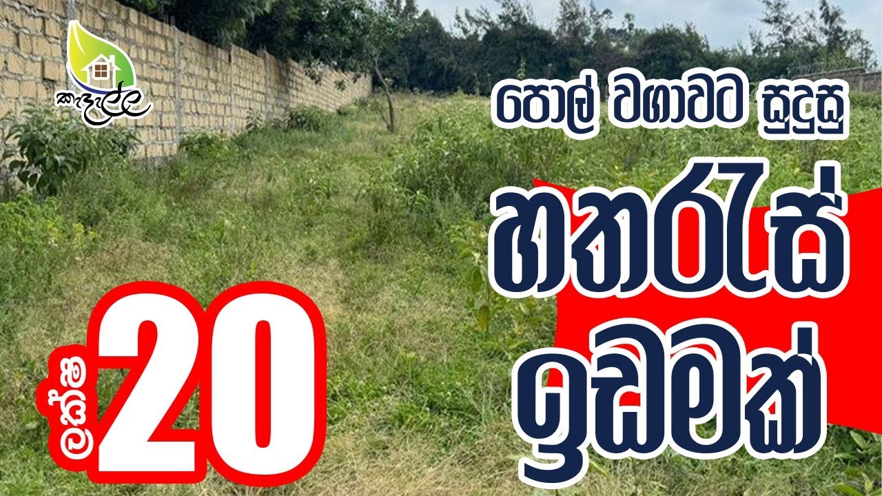 අක්කර 2ක හතරැස් ඉඩමක් | ලක්ශ 20කට පමණයි | පොල් වගාවට සුදුසුයි